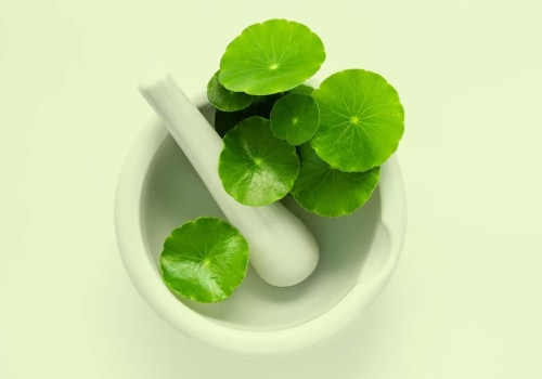 The Amazing Benefits of Gotu Kola for Your Skin